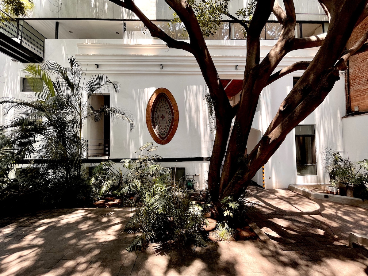 Chic & Unique House Roma Norte / Condesa