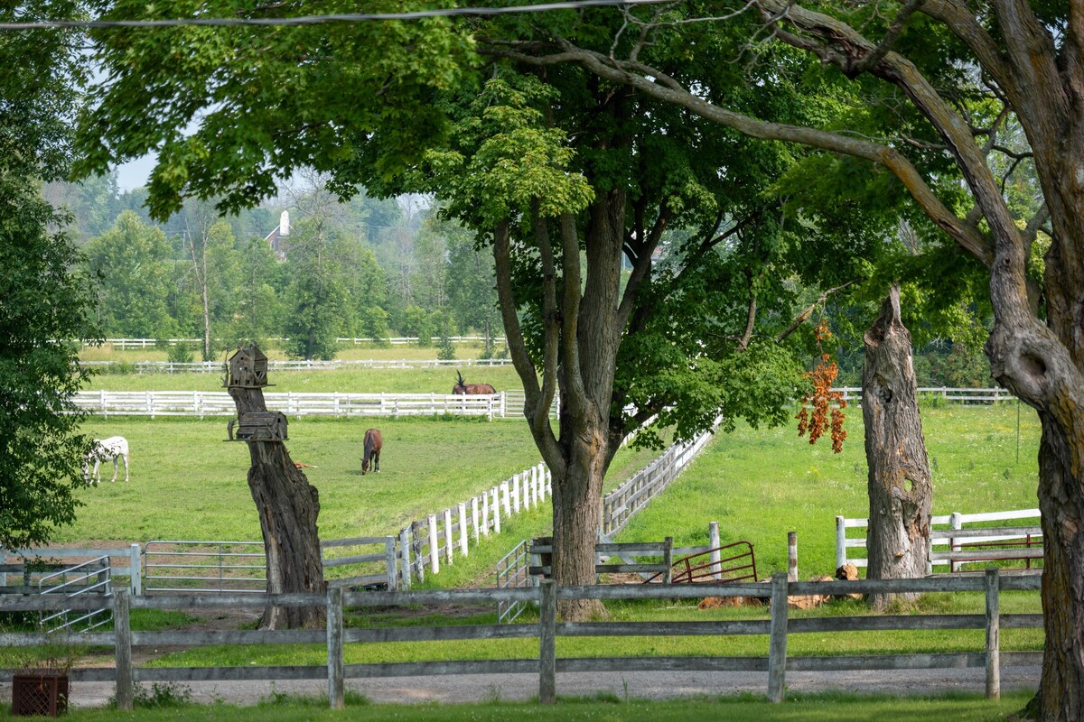 Haven Barn Orillia