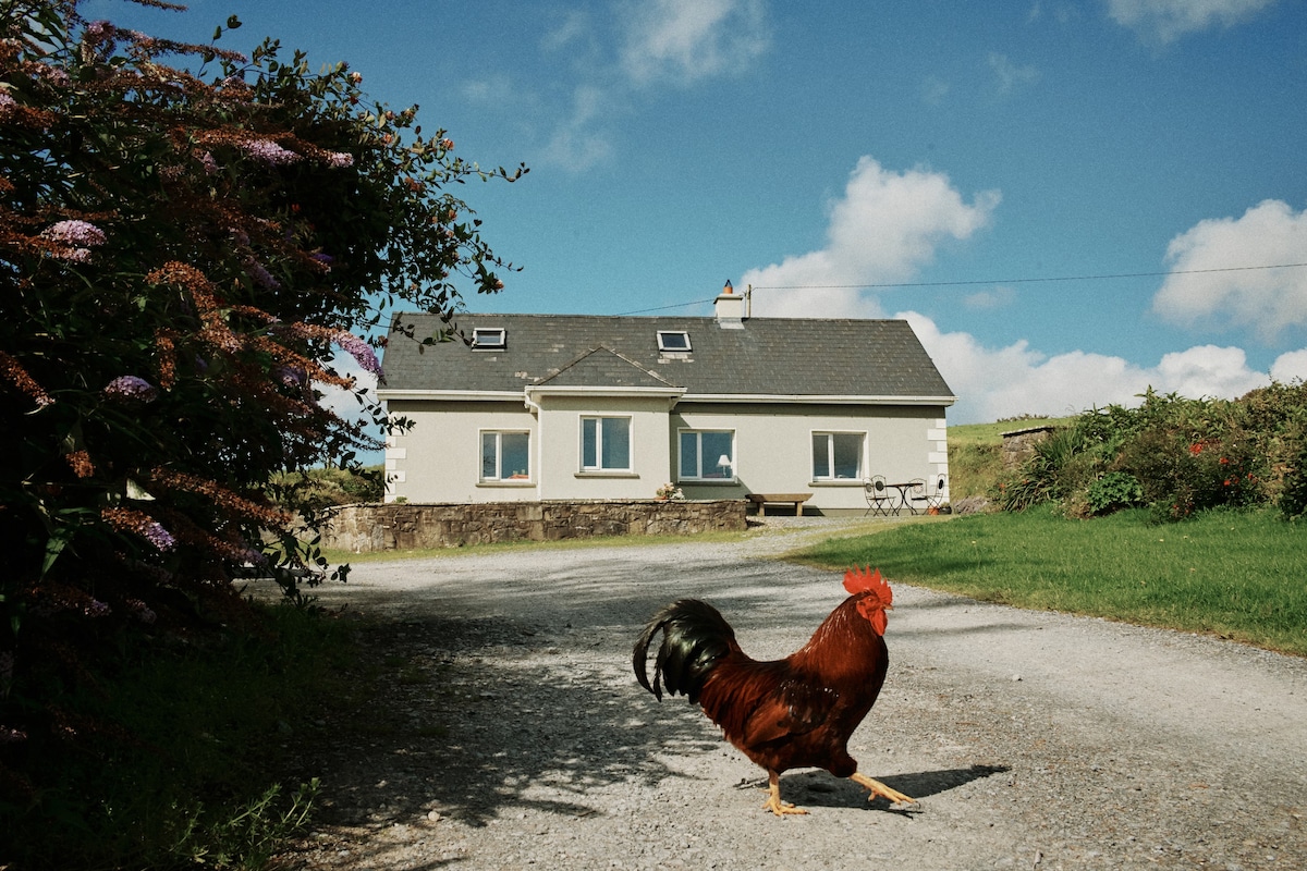 令人惊叹的Burren农舍，可入住8人
