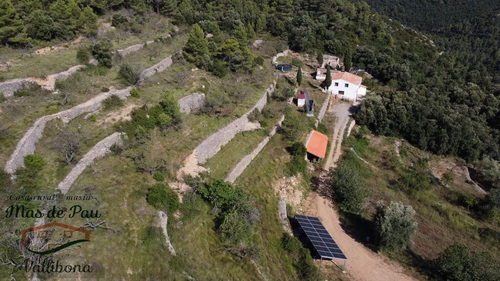 Off-grid B&B-forest, mountains.