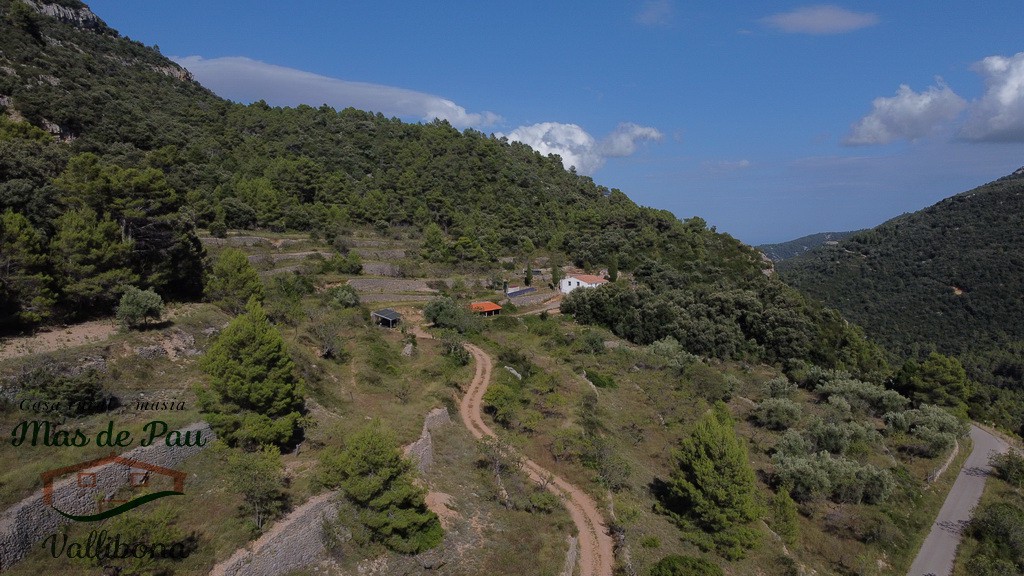 Off-grid B&B-forest, mountains.