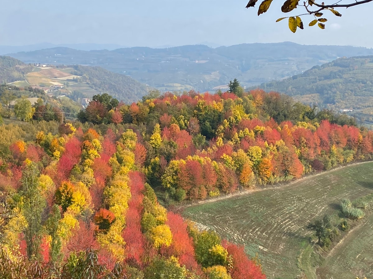 Cascinale ad uso esclusivo