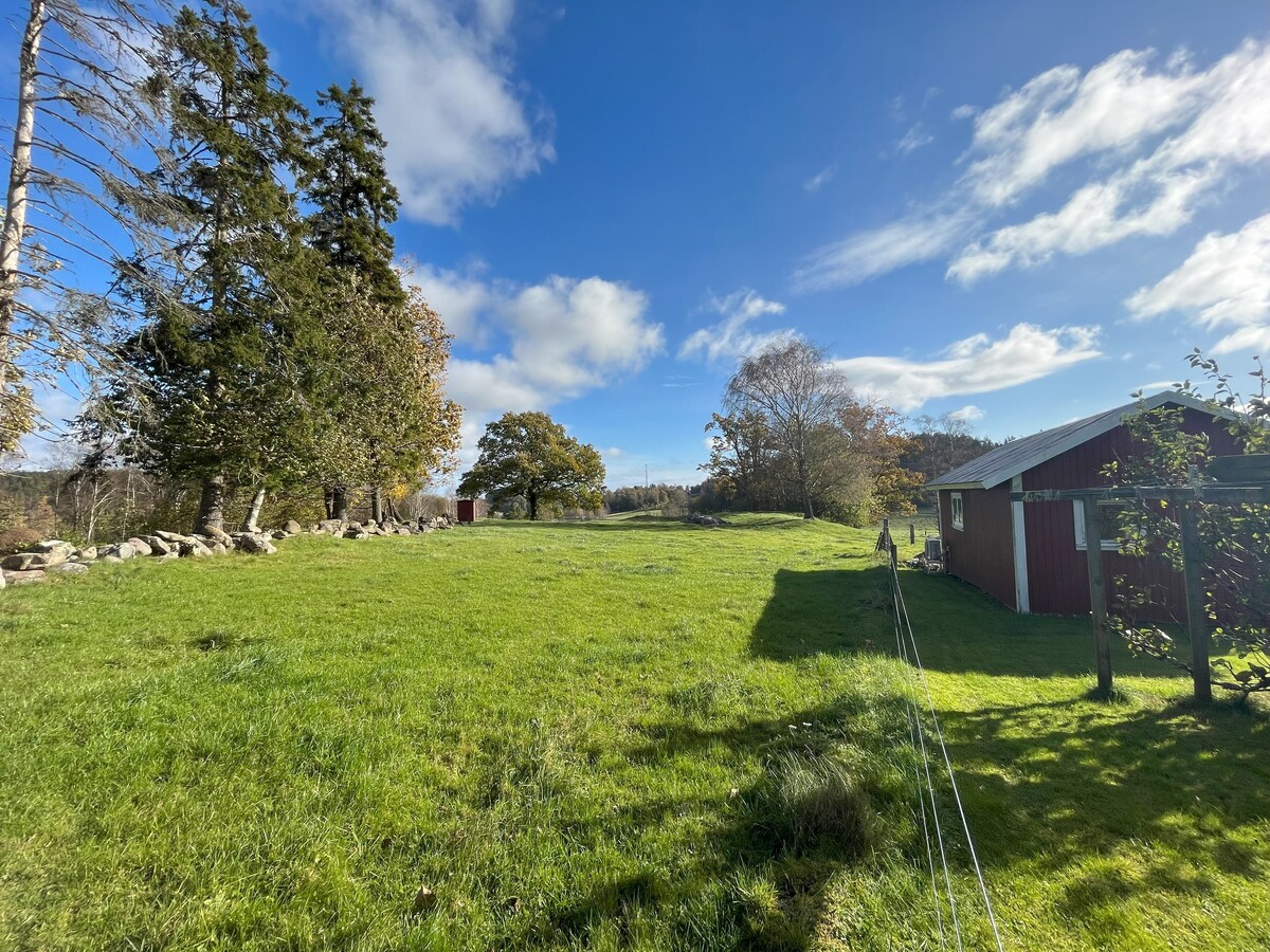 舒适的乡村客用小屋