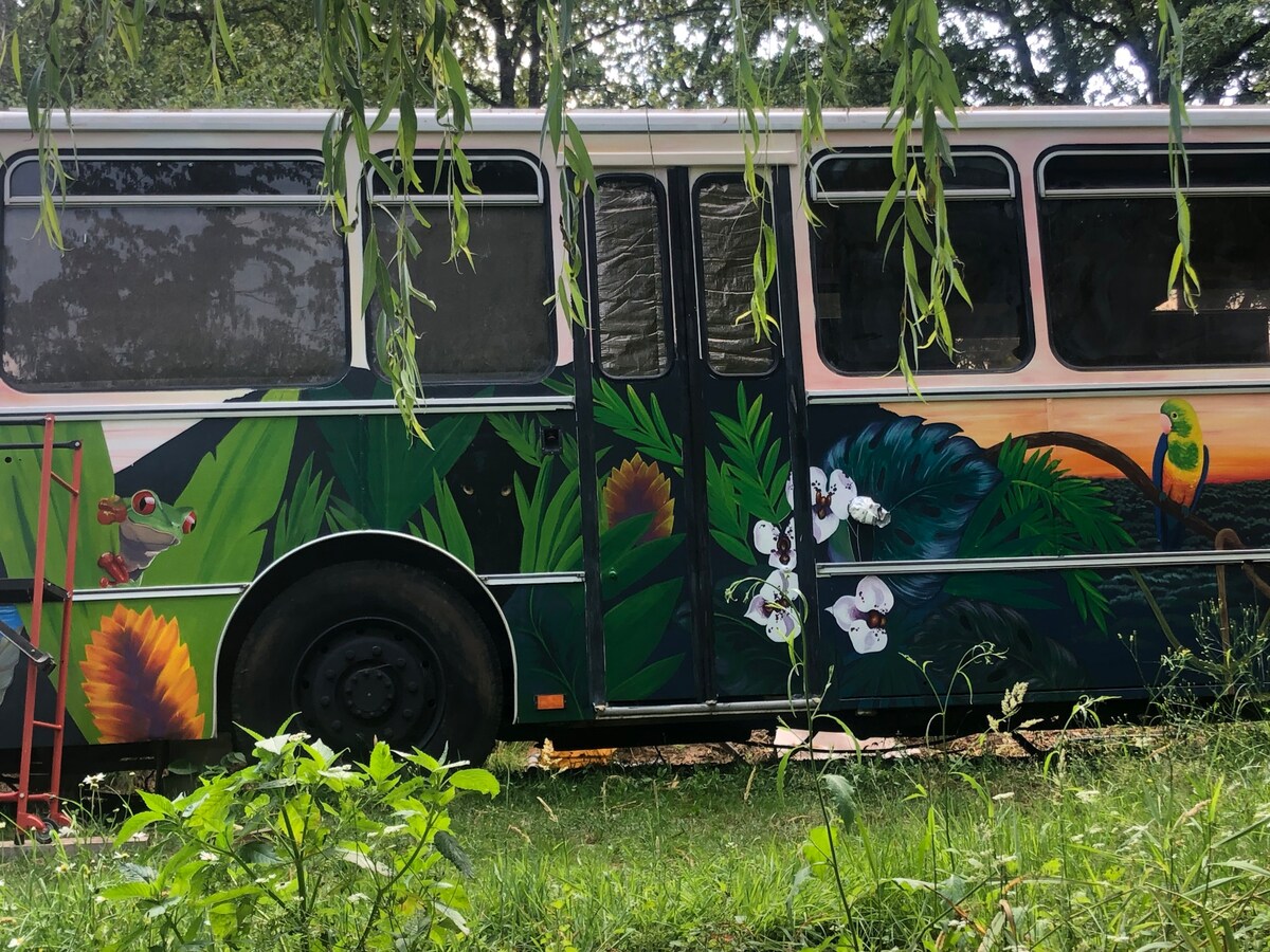 Atypique- Venez découvrir BI BUS !