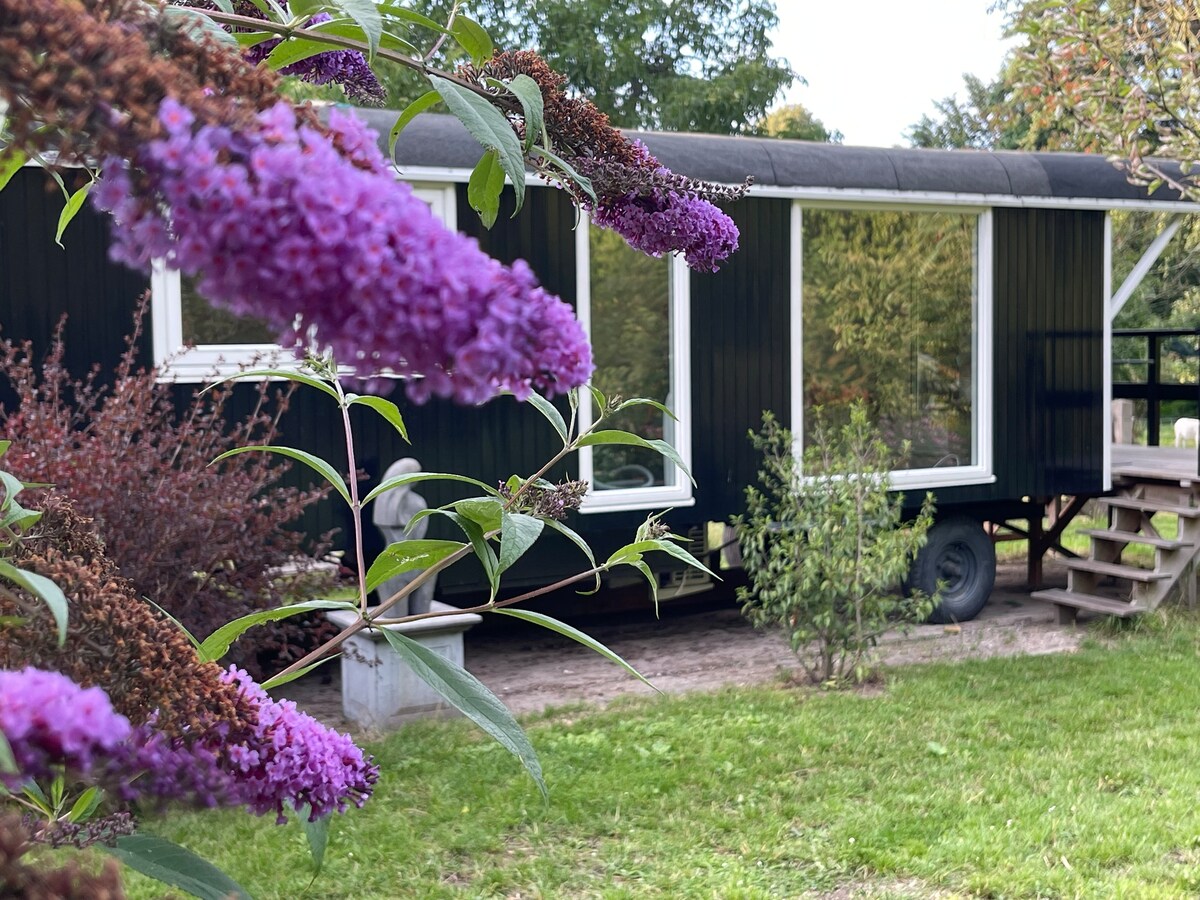 Romantisch luxe tiny house aan groot voedselbos