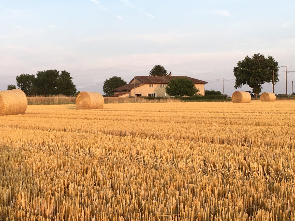 Suite dans maison Bressane