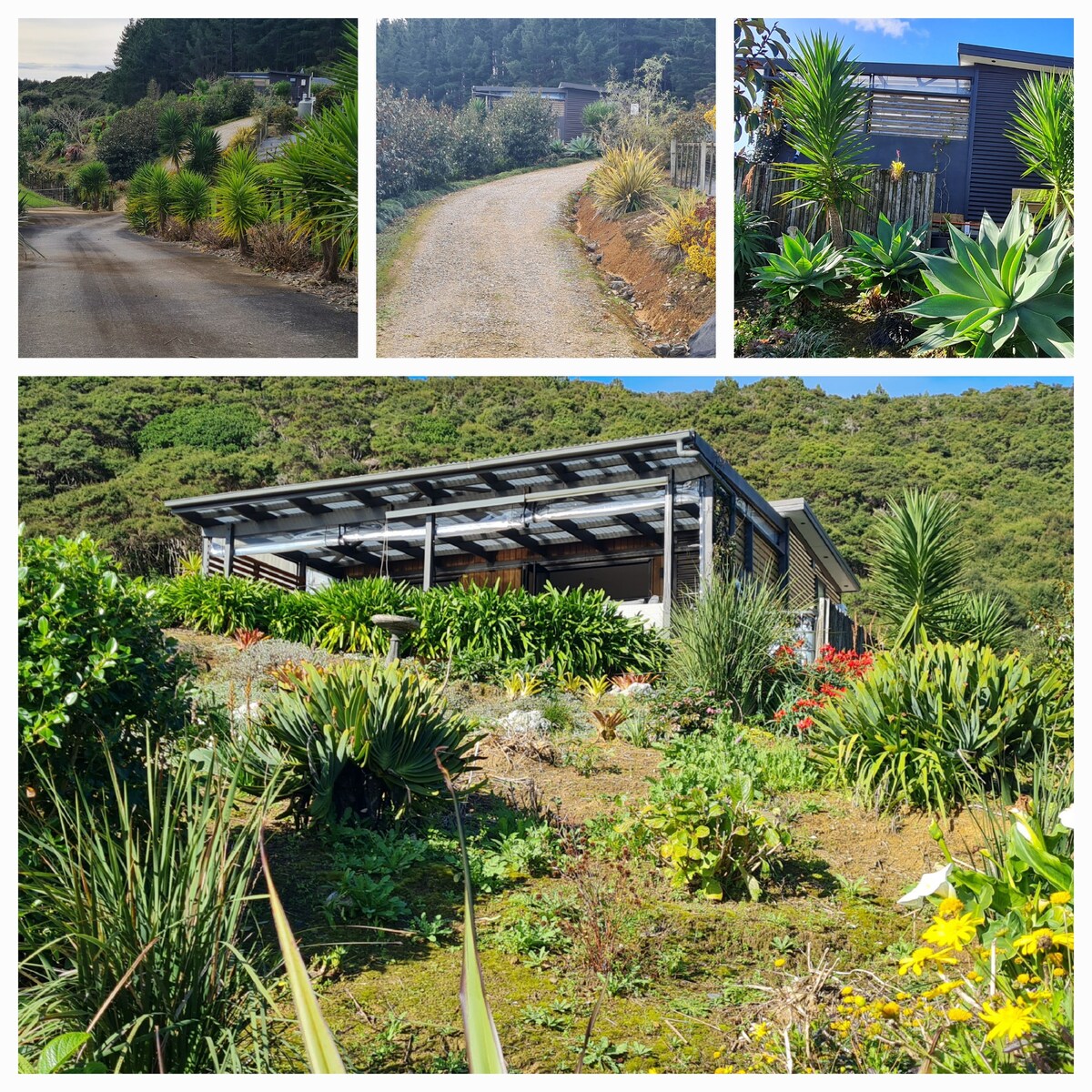 Rest Recover Recharge at ‘Soul’ Sth Kawhia Harbour