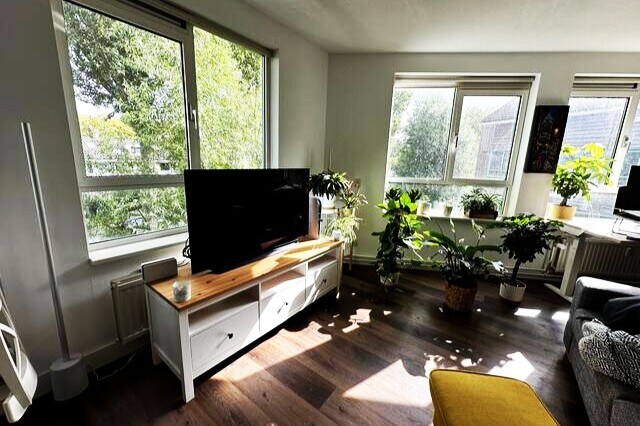 Cozy apartment in Delft