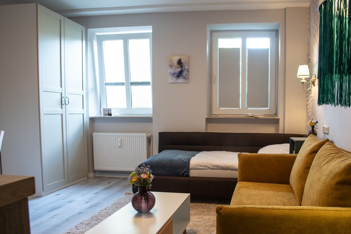 100-2 Modernes 1-Raum Apartment in Bahnhofsnähe