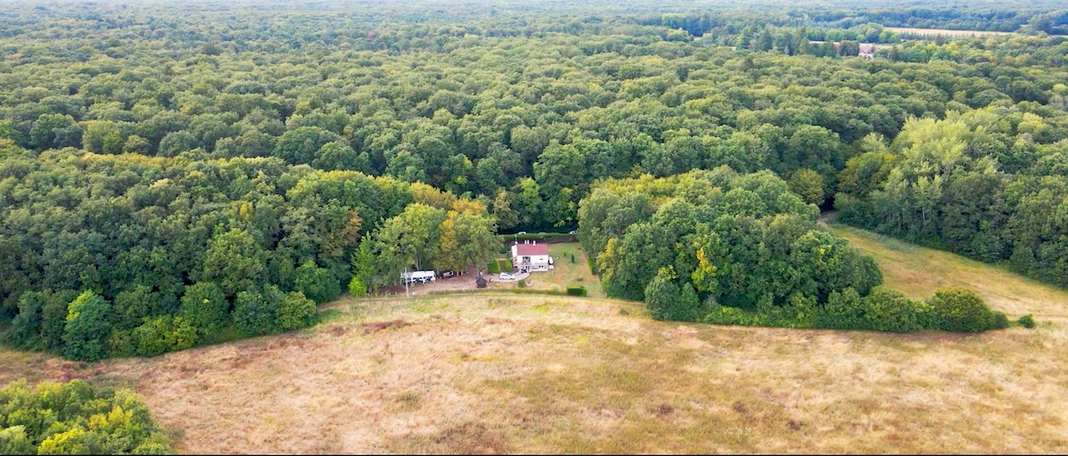 Retraite enchantée en forêt