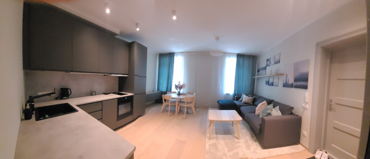 Apartment in Riga