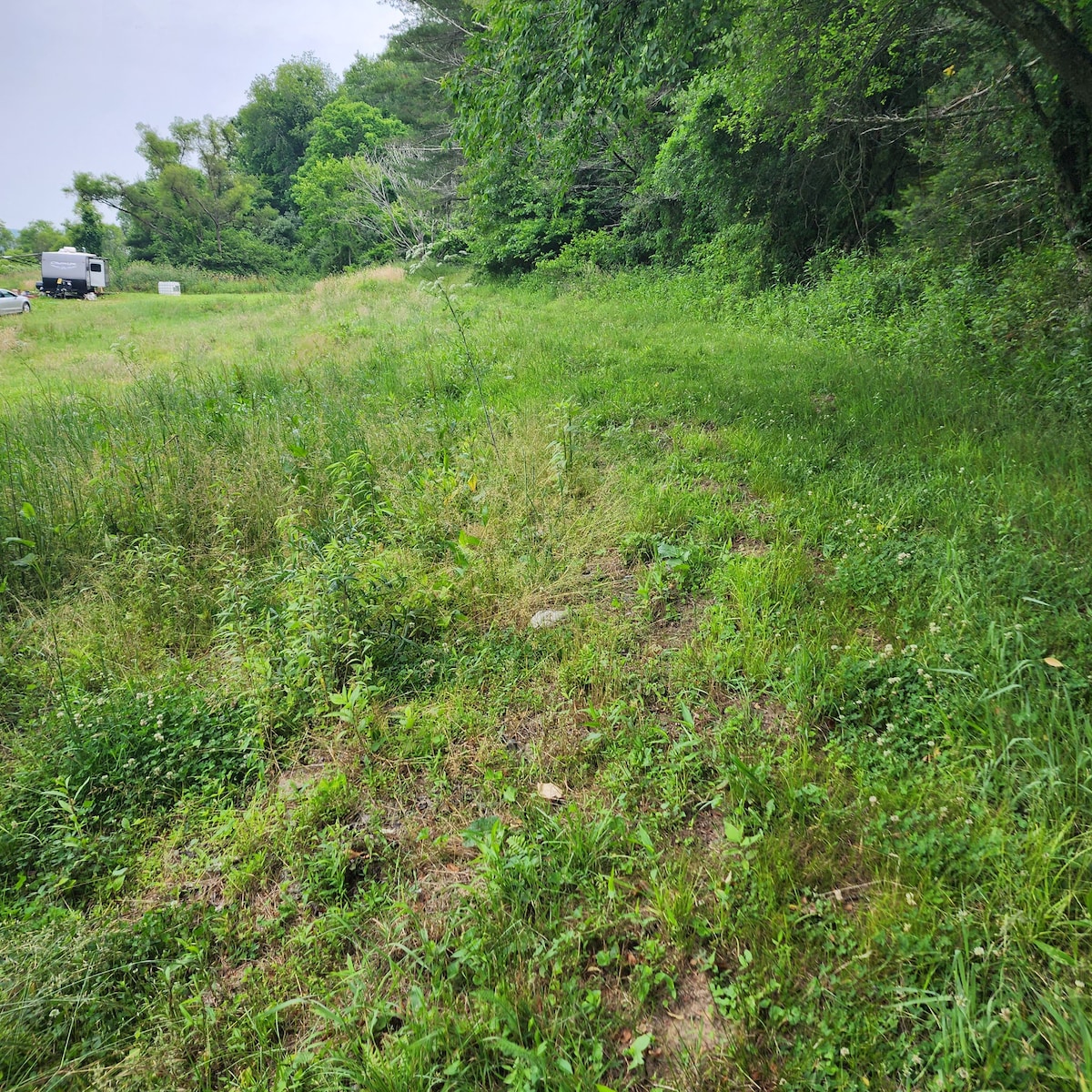 Camp Roadrunner, large private camp site