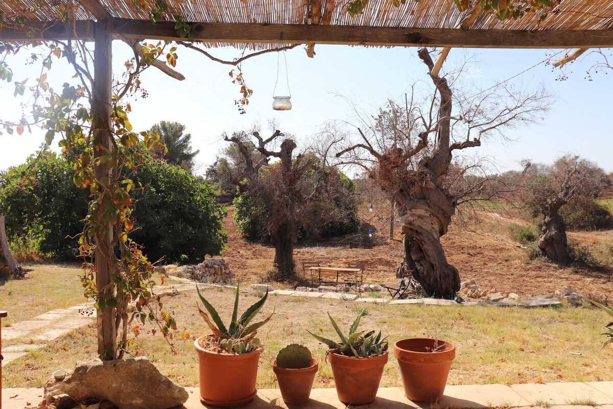 Bohemian house close to sea and nature reserve