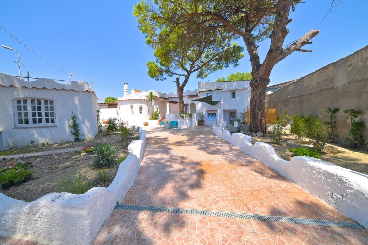 Monolocale - Villa Aida - Forio ( 400m dal mare)