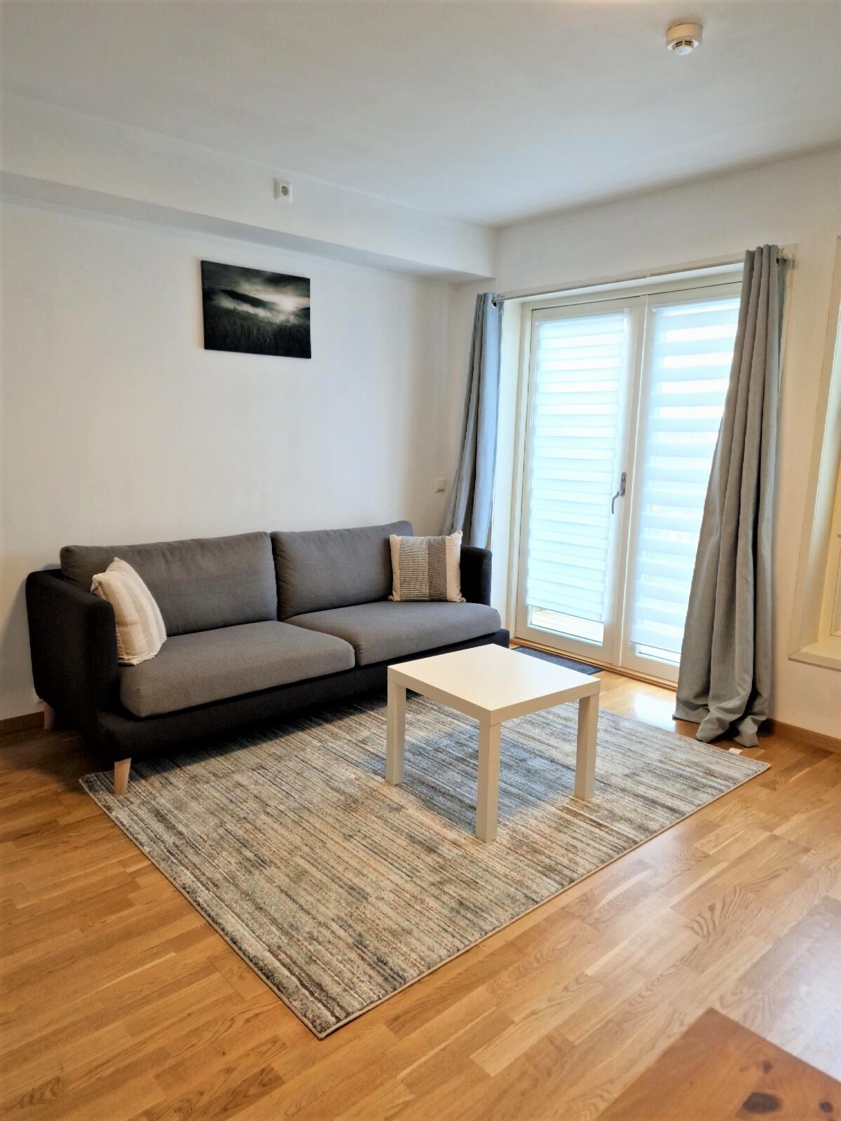 Demims Apartments- 15mins to Oslo - free parking