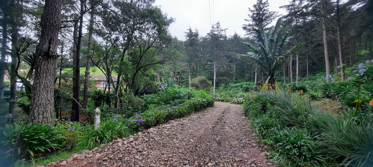 cabaña en San Ignacio