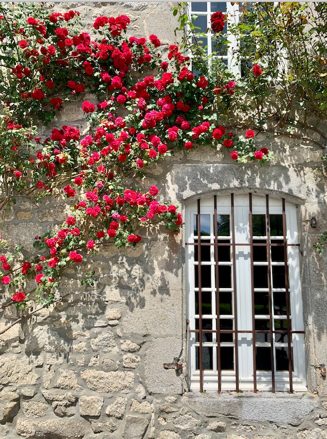 Chambre d'hôtes (suite)