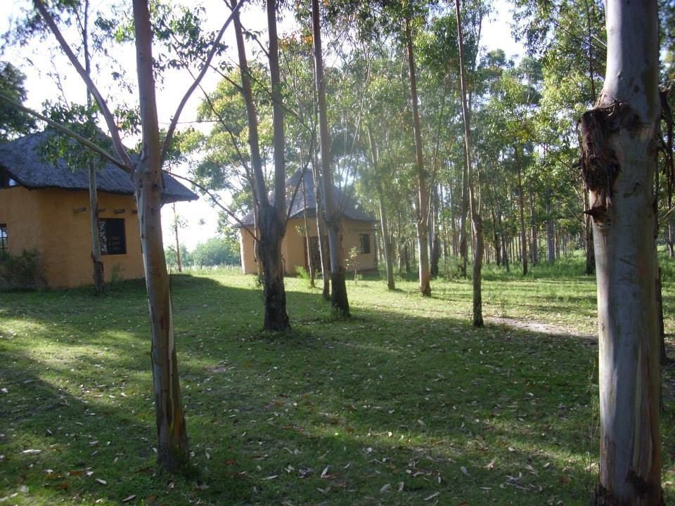 Encanto rural, cabañas de campo.