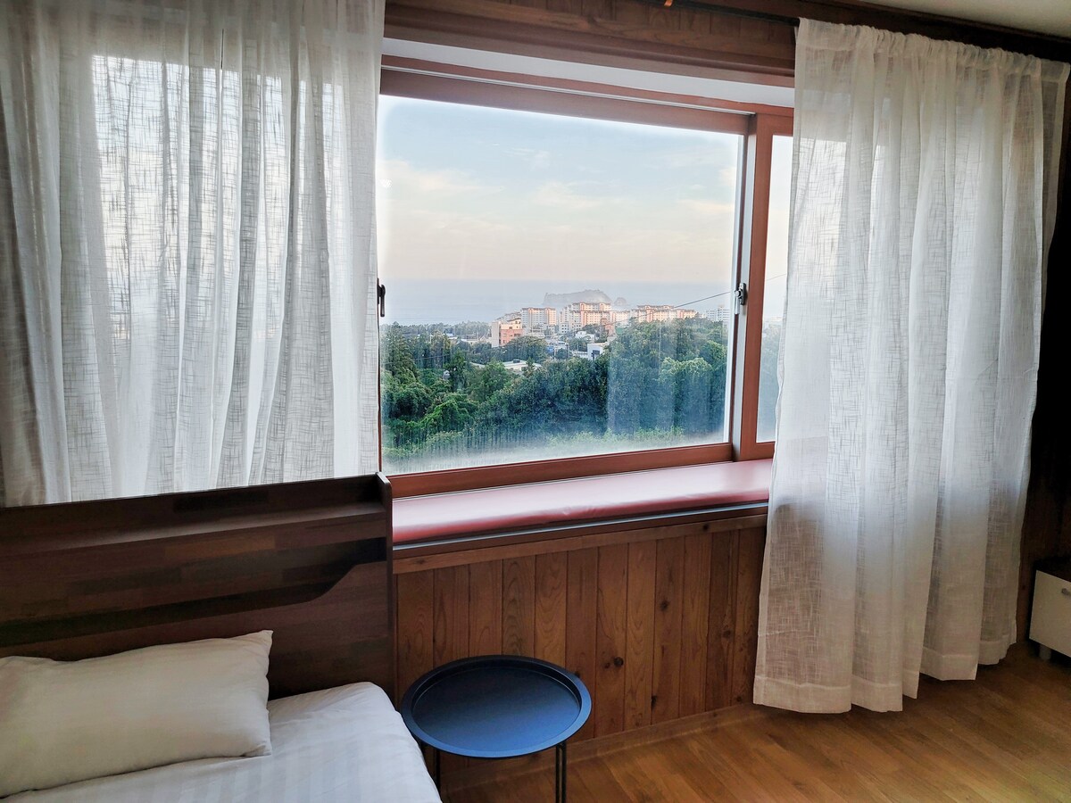 所有客房均可欣赏Beomseom的美景，带屋顶的Seogwipo Jedam住宿加早餐（ 2楼， 202 ，单间公寓）