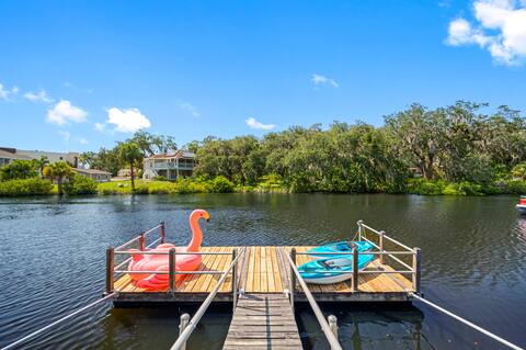 Peaceful waterfront with Dolphins & Manatees
