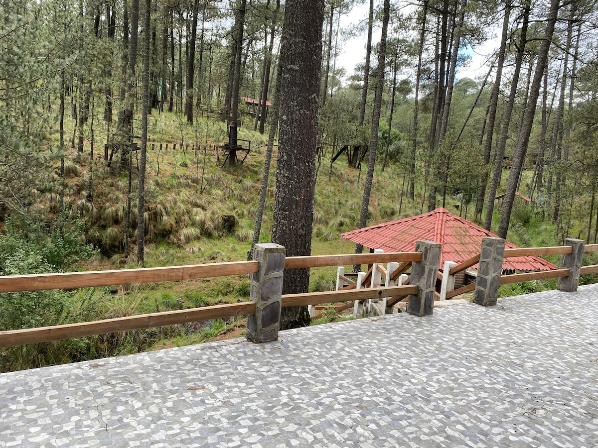 Cabaña Popocatépetl Constanza