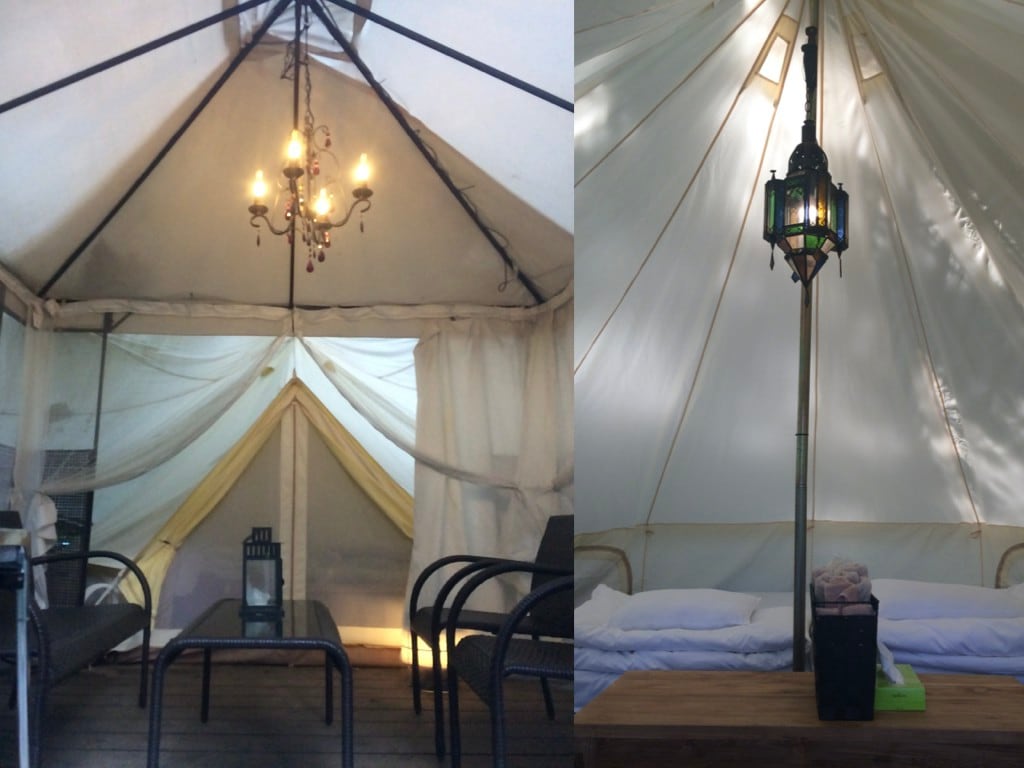 Forest Atelier House & Glamping