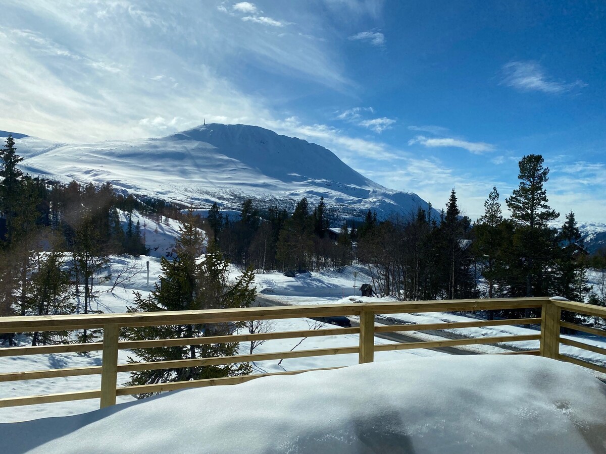 Hytte in Noorwegen - Gausta (Rjukan)