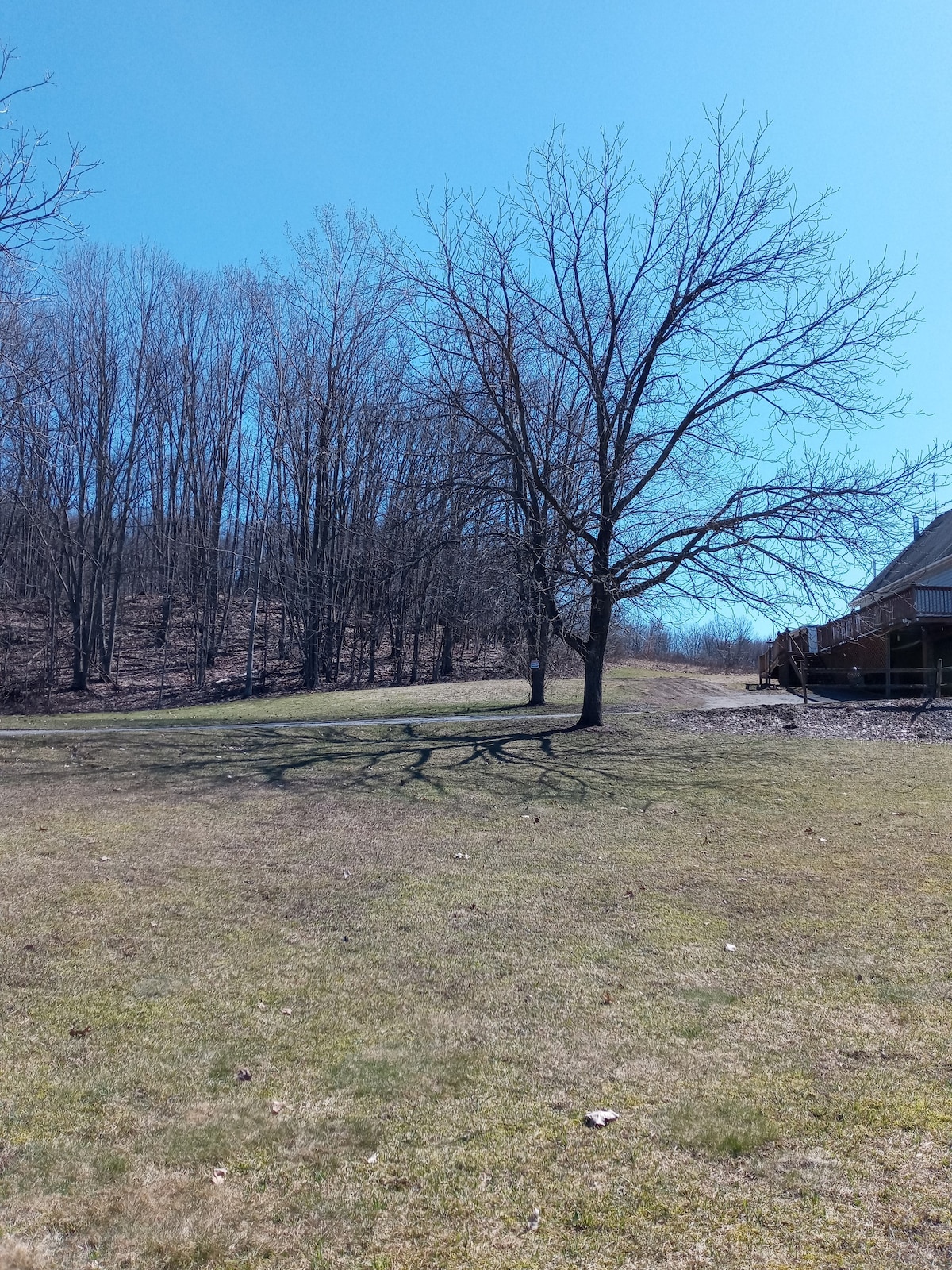 Countryside Chalet