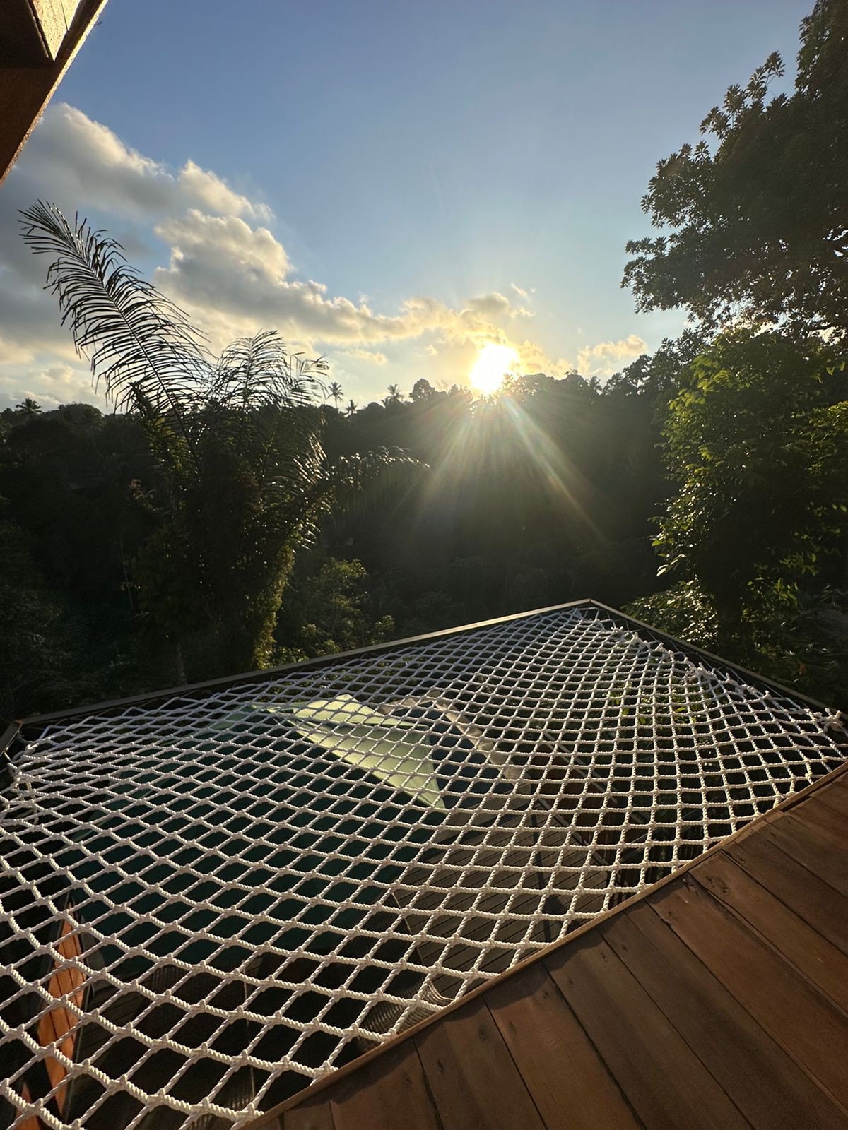1BR Private Pool with Hammock and Jungle's View