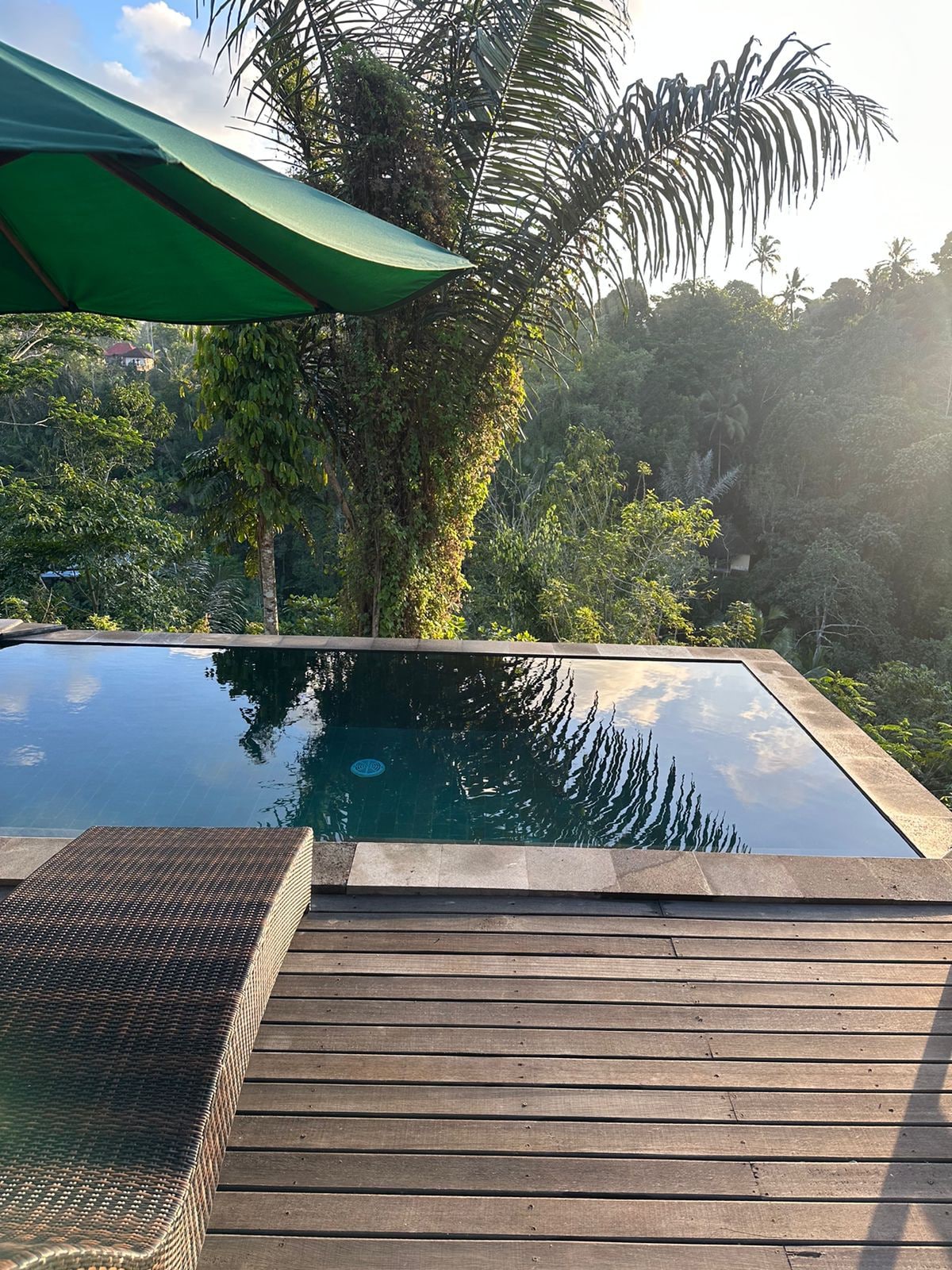 1BR Private Pool with Hammock and Jungle's View