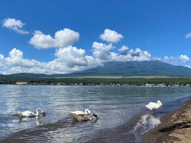 山中湖的民宿