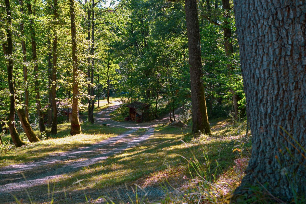 Tente équipée Camping Ecologique