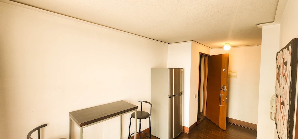 Wide studio apartment in downtown next to Subway