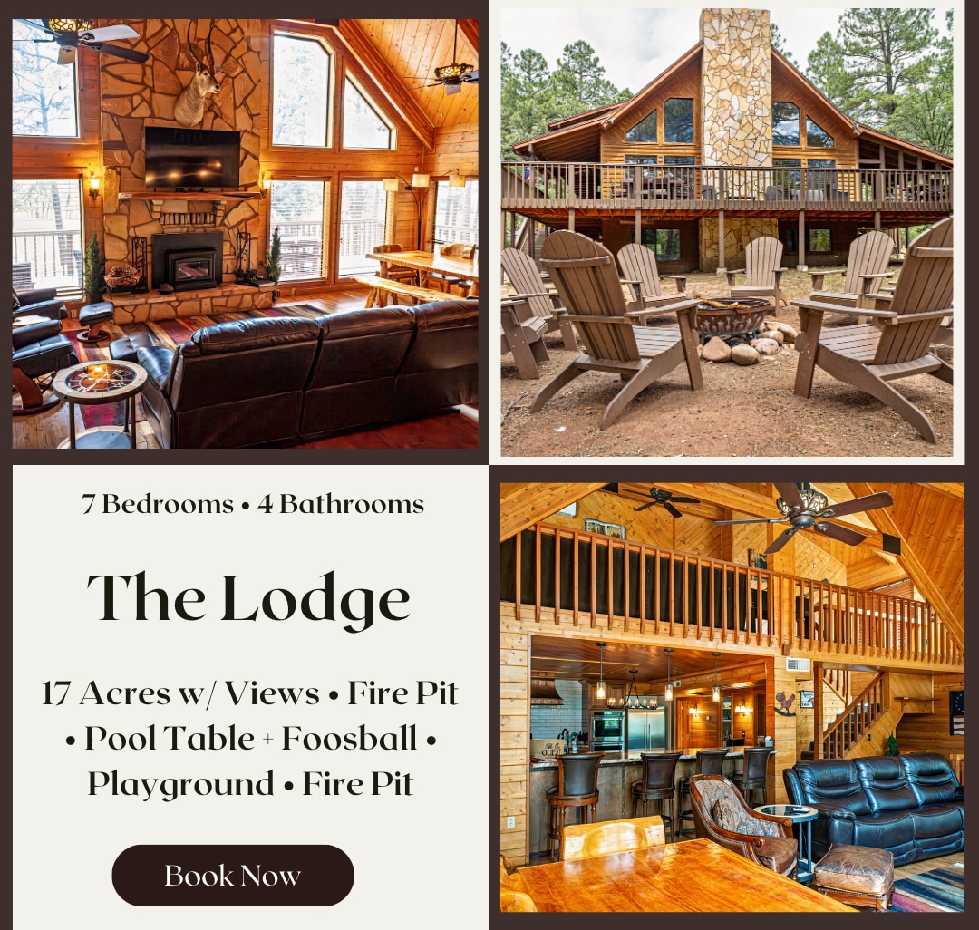 Large Cabin, 17 Acres | Playground | Forest Access