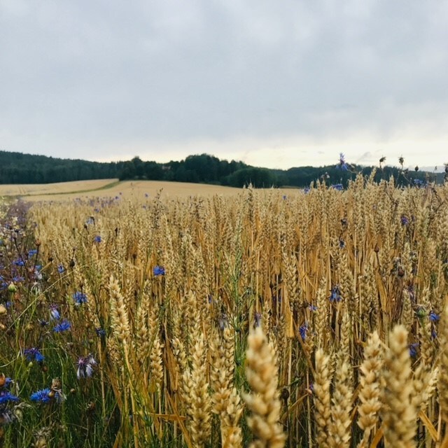 Ostört torp i vackra Kiladalen