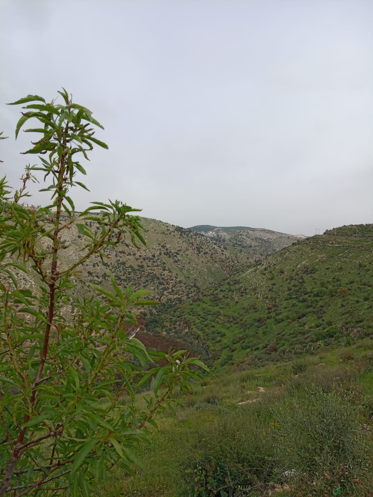 15View of Al Rayyan Valleytop山谷景观