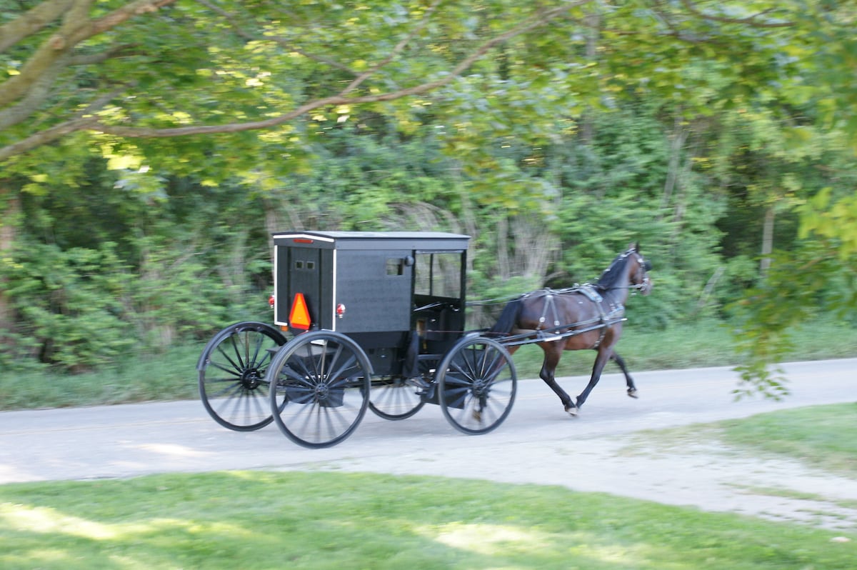 Lemon Hill Amish Guest House