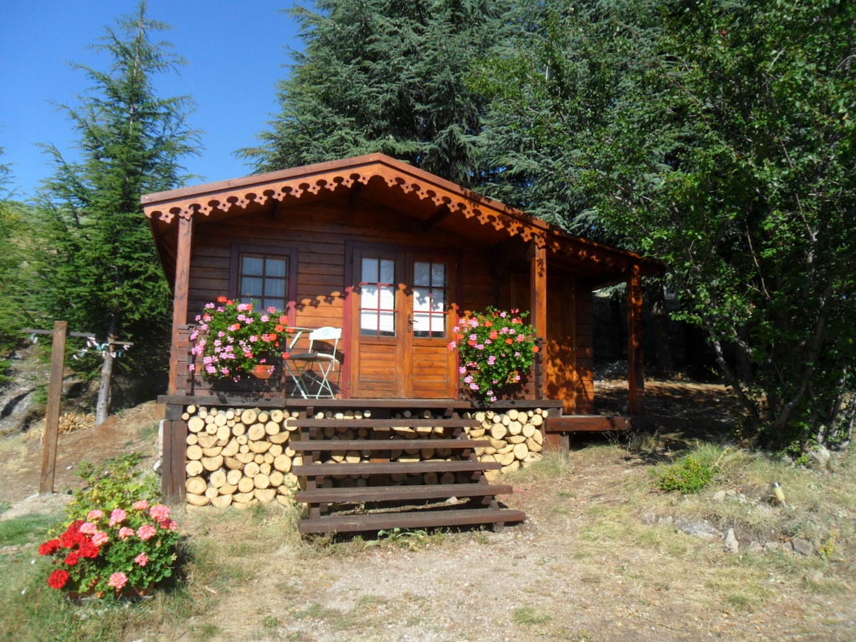 Petit Chalet au Bois d 'Eden