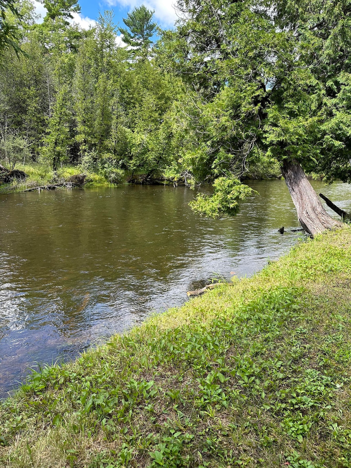 Authentic River front Log Cabin