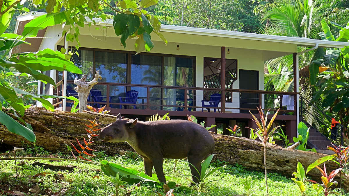 Eden Corcovado - Casa Bromelia