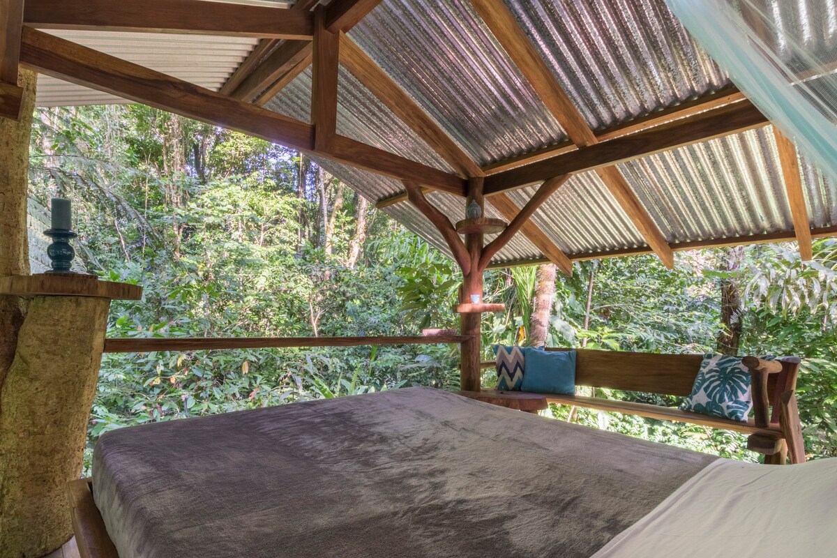 微型树屋， 360度丛林景观和早餐