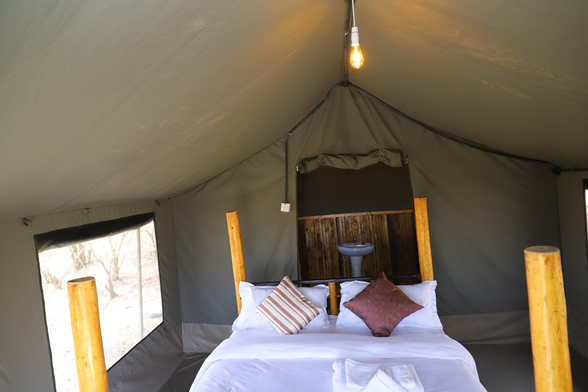 Luxury Tented Camp overlooking the Maasai Mara