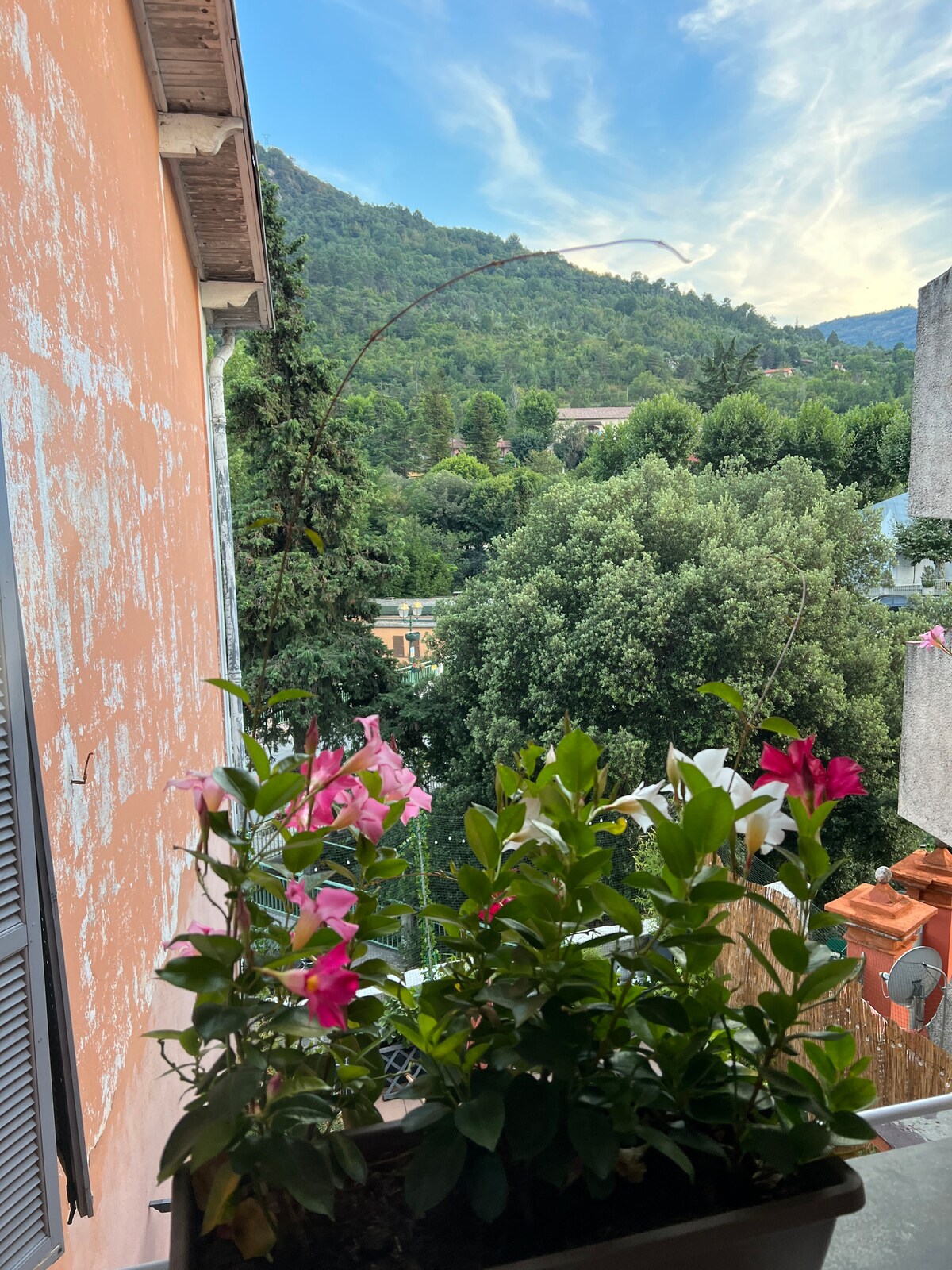 Chambre au calme dans écrin de verdure