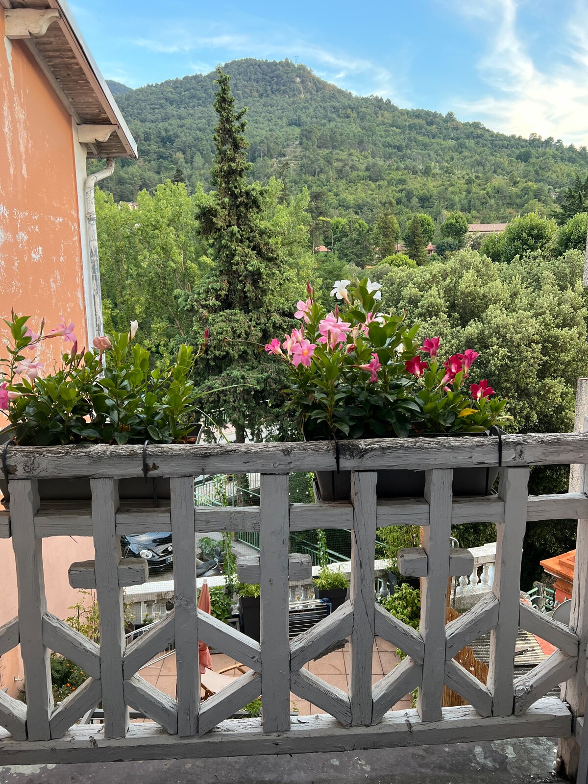 Chambre au calme dans écrin de verdure