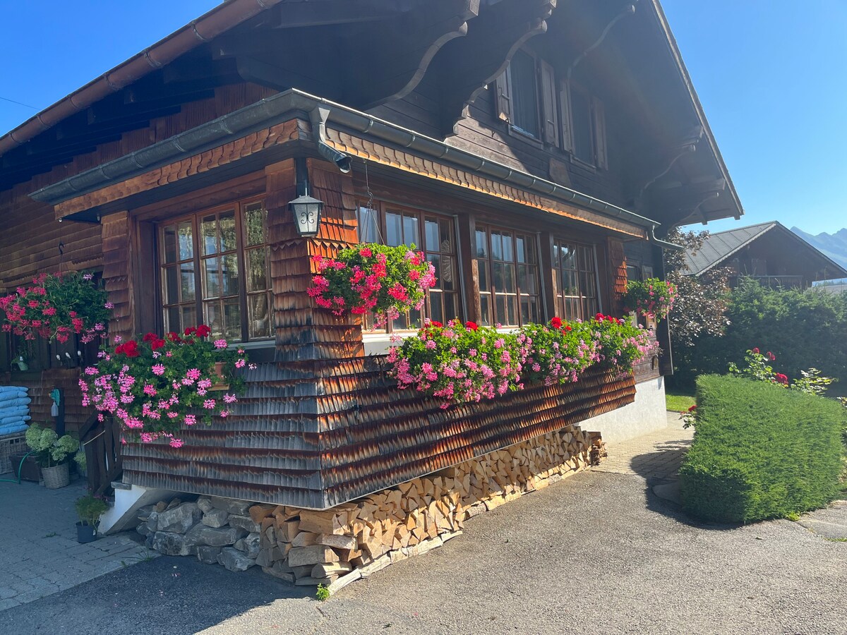 莱辛（ Leysin ）独立乡村小屋