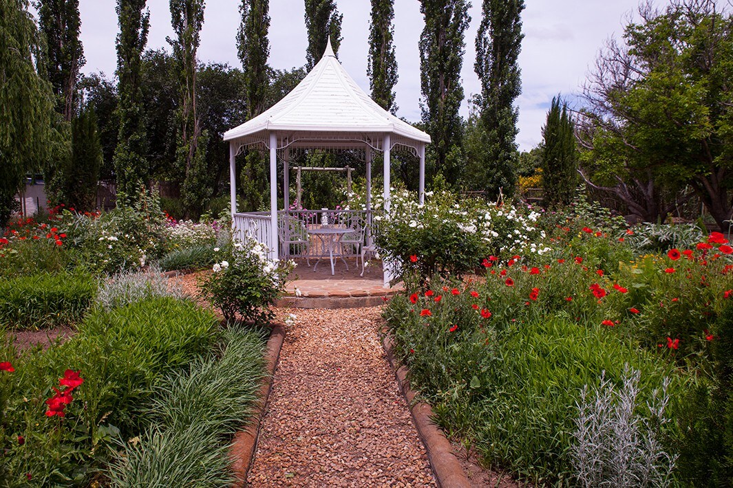 Modern Karoo studio, private, large garden