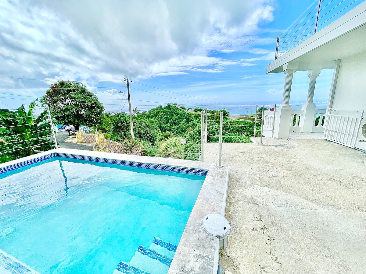 Casa LaDera 5 Bed Ocean View w Private Pool
