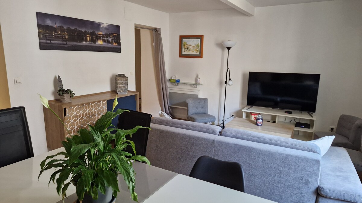 Appartement cosy  plein centre Ars/Moselle