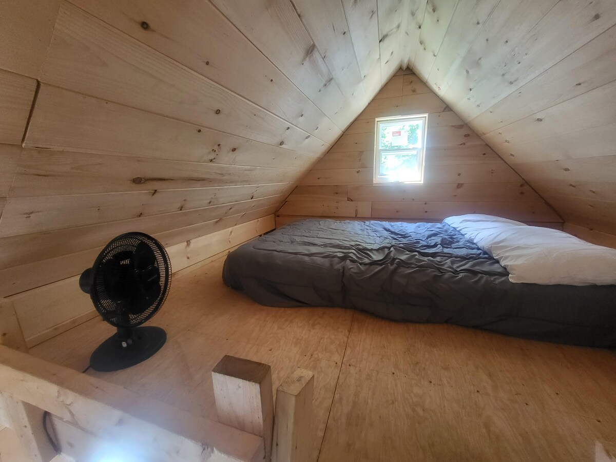 Tiny Off Grid Cabin in the Woods.