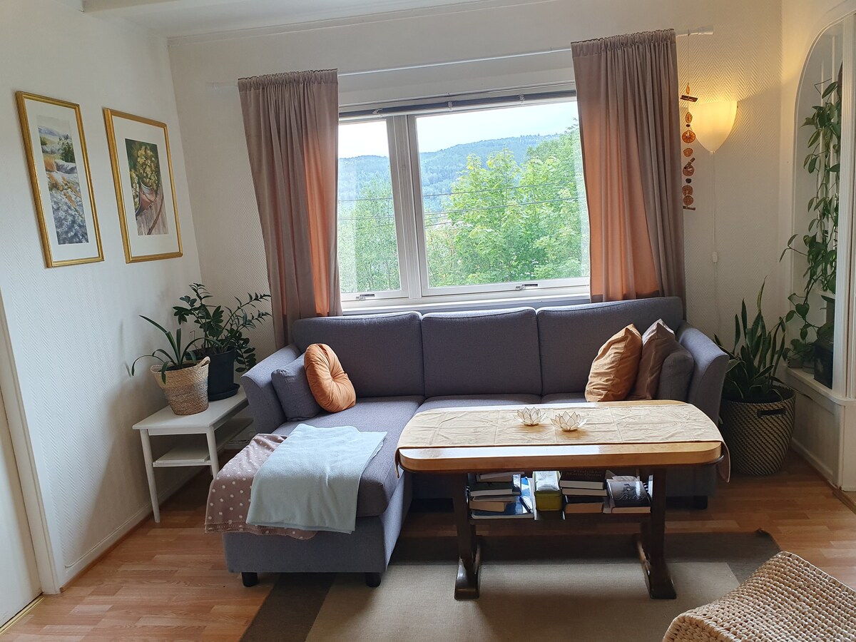 Room, Drammen